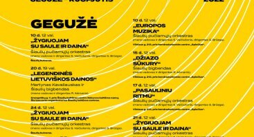 „PASAULINIU RITMU“ | Saulės vasaros koncertai 2022