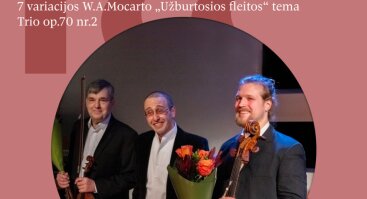 Vytautas Magnus Trio koncertas
