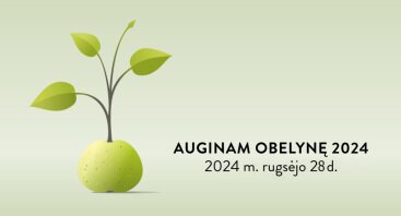 Auginam Obelynę 2024