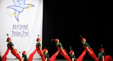  XVII tarptautinio šokio festivalio-konkurso „Aušrinė žvaigždė“ II konkurso dalis. Šiuolaikinis šokis 