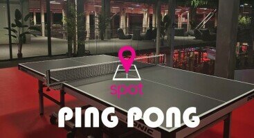 Stalo tenisas Kaune | PING PONG Spot