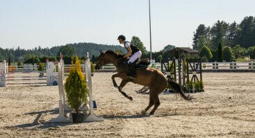 Atviras Lietuvos Dailiojo jojimo čempionatas 2024 | „Harmony Park“ hipodrome