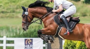 Tarptautinės Pasaulio Taurės etapo konkūrų varžybos | CSI2*-W/CSI1*/CSIYH1*Vazgaikiemis