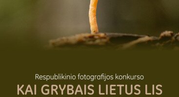 „Kai grybais lietus lis“ Respublikinio fotografijos konkurso darbų paroda