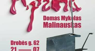 APŽORA // DOMAS MYKOLAS MALINAUSKAS