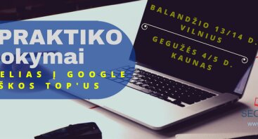 Interneto rinkodaros (SEO) mokymai Kaune