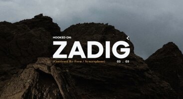 Hooked On: Zadig
