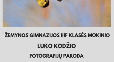 Luko Kodžio fotografijų paroda „Lietuvos paukščiai iš arčiau“