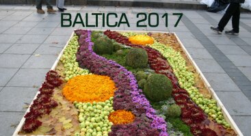 Tarptautinis festivalis „Baltica“ 