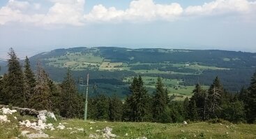 Paskaita apie Šveicarijos botanikos sodus, kalnus ir JTO būstinę
