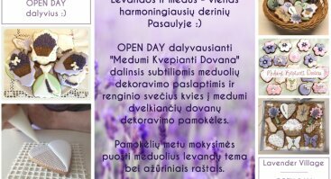 Lavender Village Open Day 2018