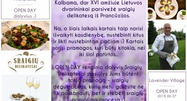 Lavender Village Open Day 2018