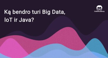 Ką bendro turi Big Data, IoT ir Java programavimas?