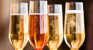Šampano ir kitų putojančių vynų pamokos 