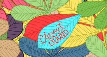 Chestnut Sounds: Elektrod K. x 2youkauke