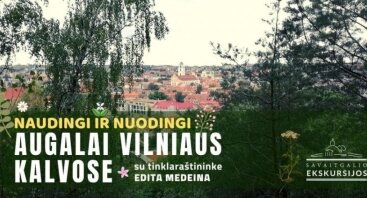 Naudingi ir nuodingi augalai Vilniaus kalvose