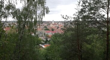 Naudingi ir nuodingi augalai Vilniaus kalvose