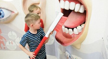 Neowudas: kelionė į sveikų dantukų šalį