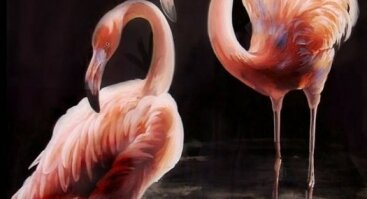 Diena su tapyba "Flamingai". Formatas 50x70