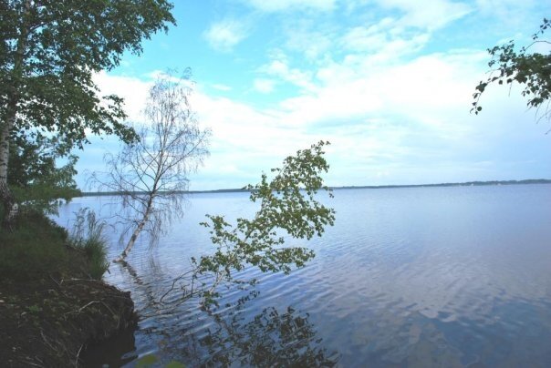 Rėkyvos ežeras