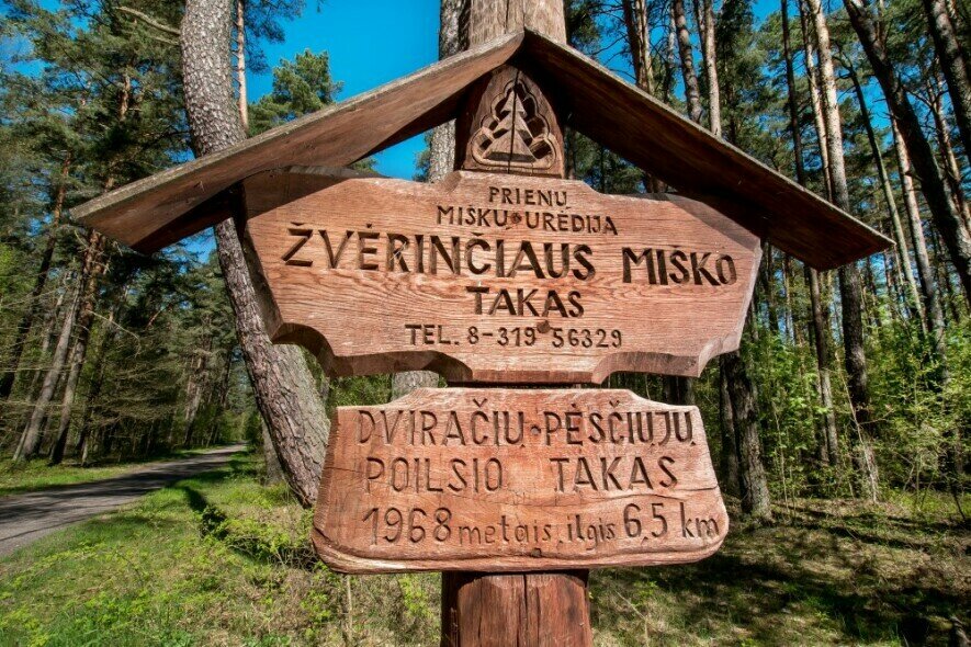 Žvėrinčiaus miškas