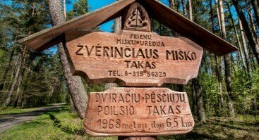 Žvėrinčiaus miškas