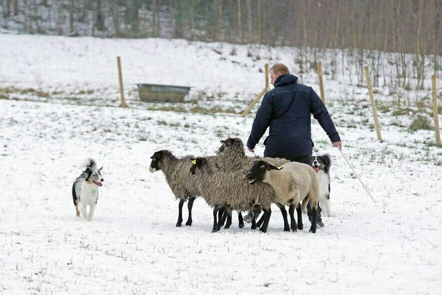 Kennel Unikalus Greitis